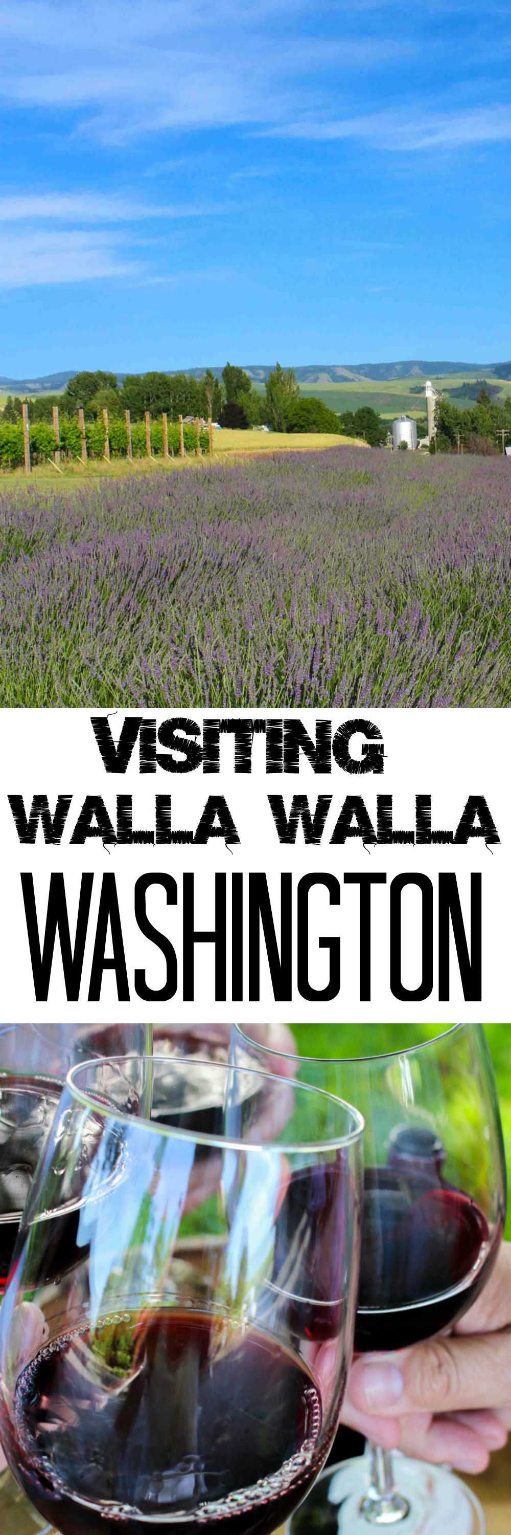 Things to Do & See in Walla Walla, WA platingsandpairings.com