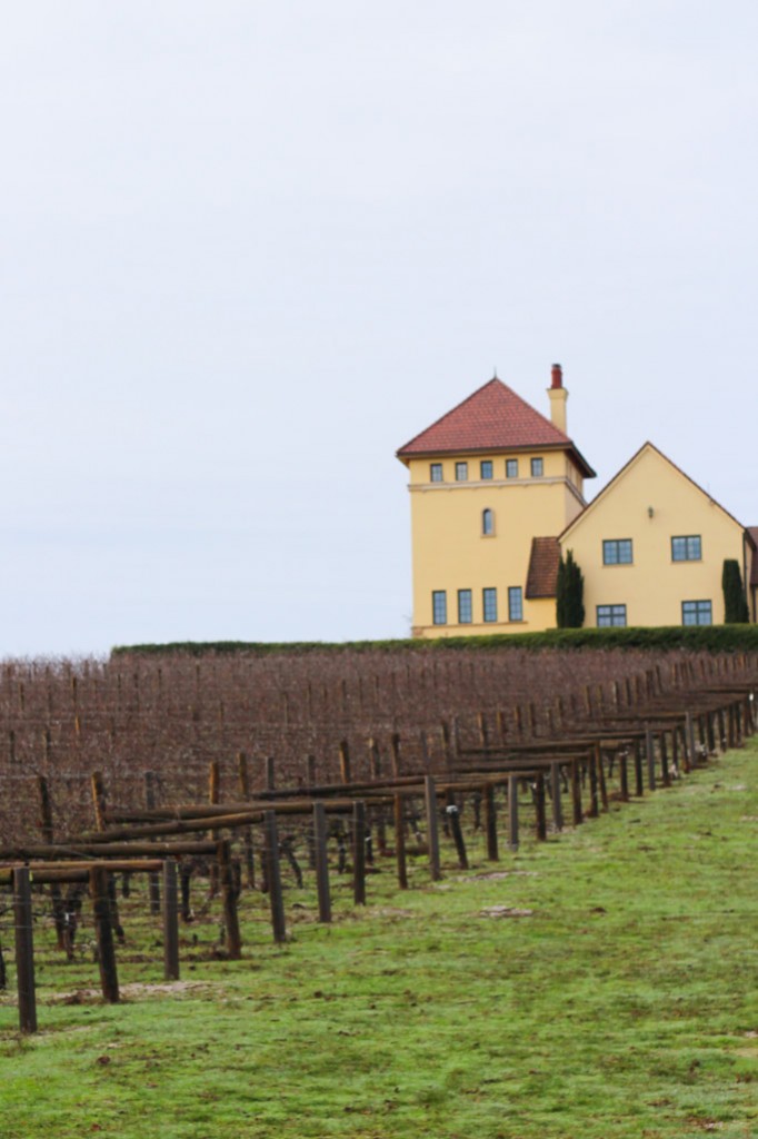 The Best Wineries to Visit in the Willamette Valley - Eugene, Oregon | platingsandpairings.com
