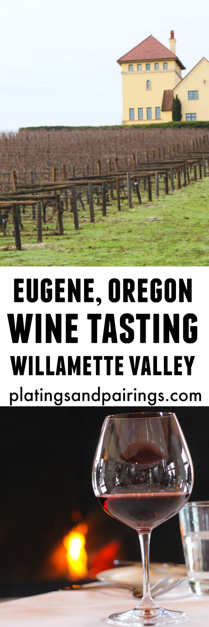 Wine Tasting in Eugene, Oregon Platings&Pairings
