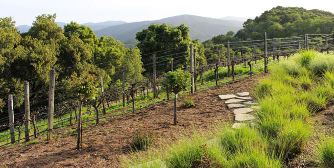 Holman Ranch is an ideal location in the hills above Carmel Valley perfect for special events and weddings. The grounds feature a stone hacienda, sweeping views, and an olive grove. While their estate vineyard produces amazing Chardonnay, Pinot Gris and Pinot Noir. 