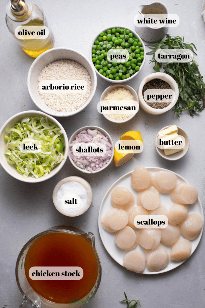 Ingredients for scallop risotto labeled on counter.