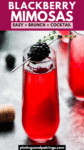 Blackberry Mimosa (Easy Brunch Cocktail)