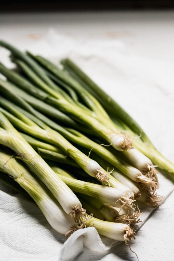 Pile of green onions.