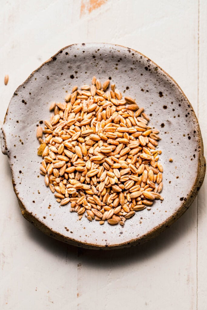 Uncooked farro on small speckled plate.