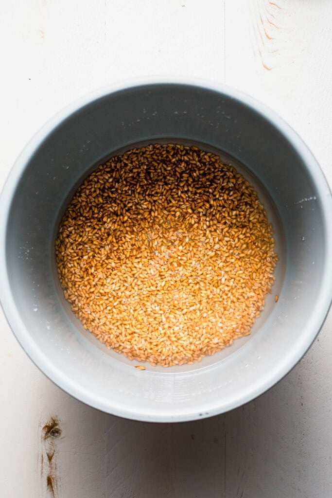 Farro and water added in instant pot.