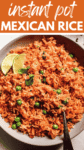 Instant Pot Mexican Rice pin.