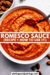 Romesco sauce uses pinterest image.