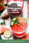 Vodka Watermelon Drink pinterest image.