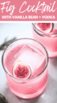 Fig & Vanilla Vodka Cocktail