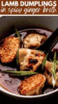 Lamb Dumplings with Ginger Broth