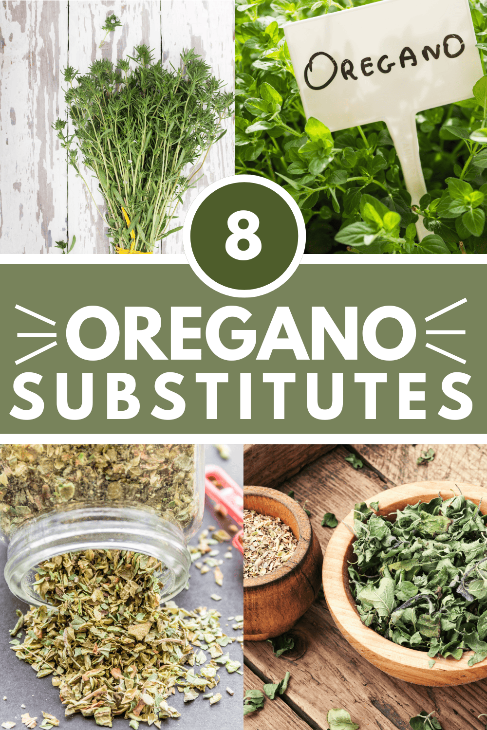 Collage of oregano substitutes with text overlay.