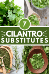 Collage of cilantro substitutes with text overlay.