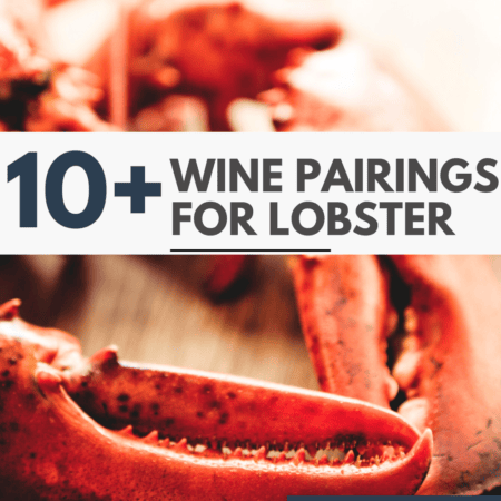 Lobster on counter with text overlay "best wine with lobster".