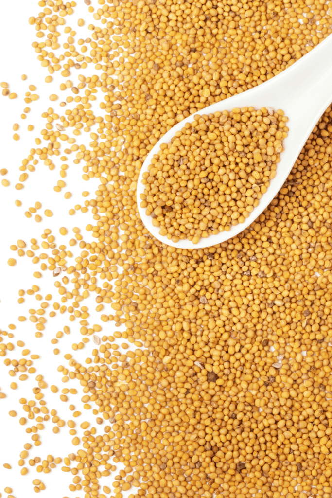 Mustard seeds.