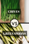 Cover image chives vs. green onions.