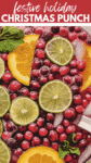 Easy Christmas Punch