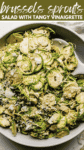 Shaved Brussels Sprouts Salad PIN