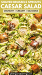 Brussels Sprout Caesar Salad Recipe