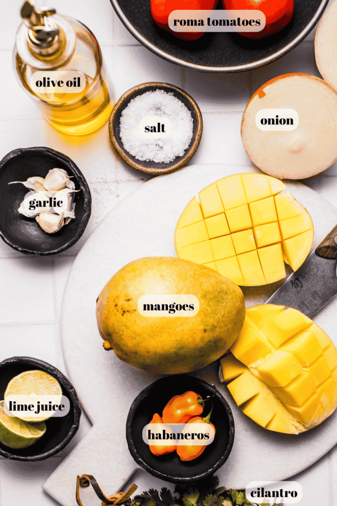 Ingredients for mango habanero salsa labeled on counter.