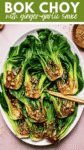 Stir-Fried Bok Choy with Garlic pin.