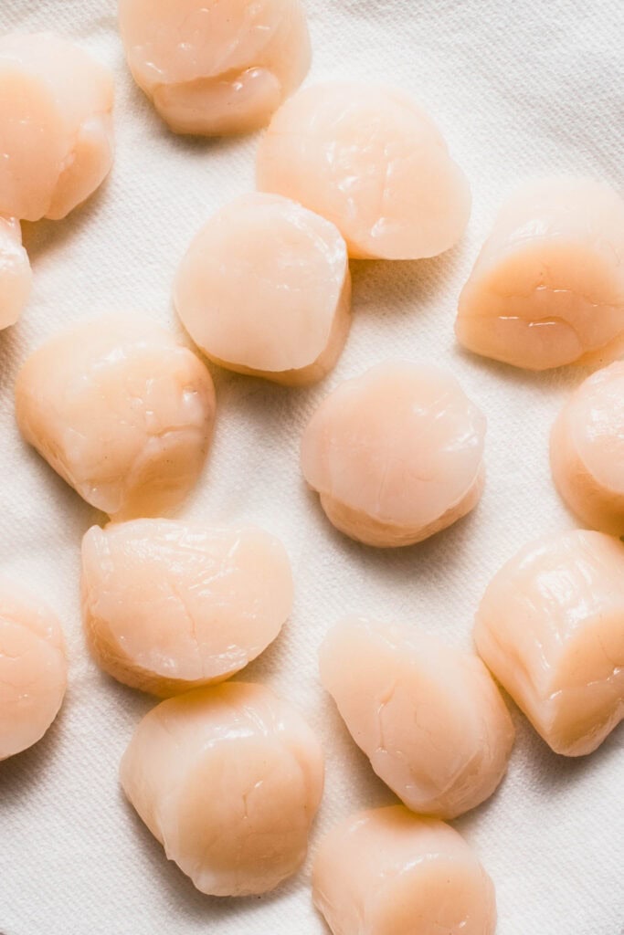 Scallops on paper towel.