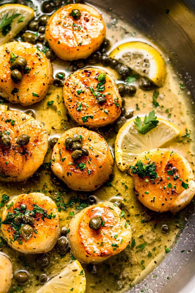 Close-up of golden seared scallops in piccata sauce, topped with capers and fresh lemon.