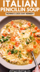 Penicillin Soup pinterest image.