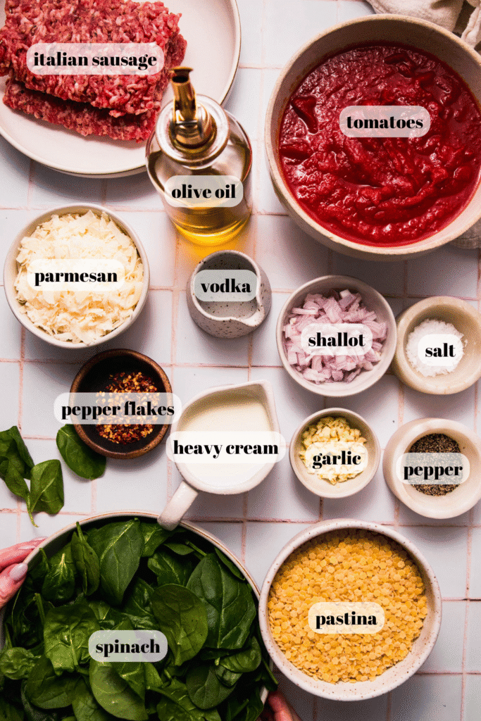 Ingredients for pastina alla vodka labeled on counter.