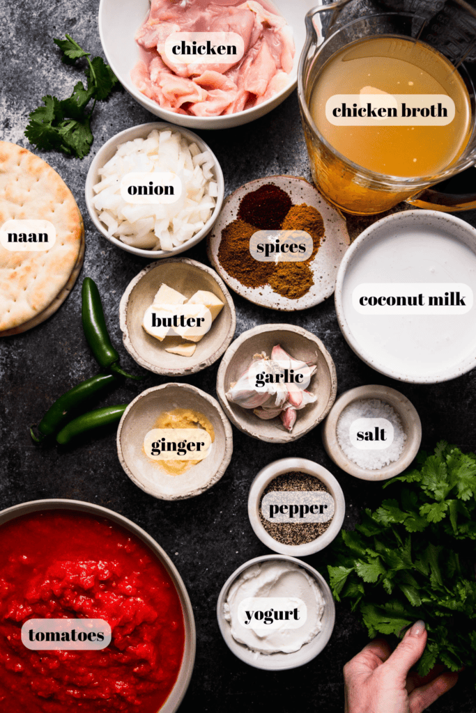 Ingredients for butter chicken soup on counter.