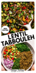 Lentil Tabbouleh Salad Recipe