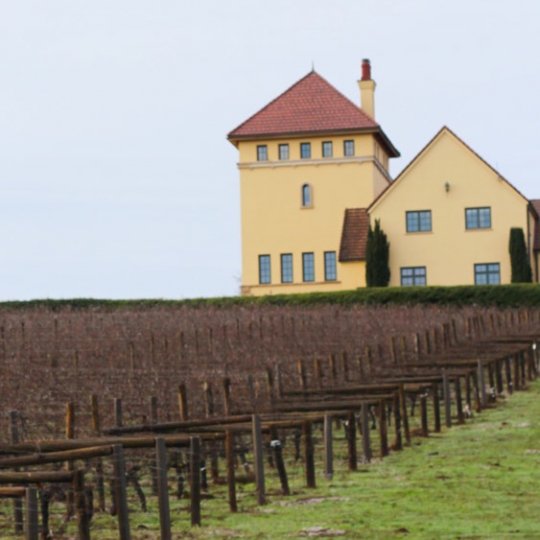 Wine Tasting in Eugene, Oregon Platings + Pairings