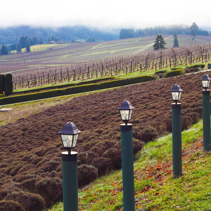 The Best Wineries to Visit in the Willamette Valley - Eugene, Oregon | platingsandpairings.com