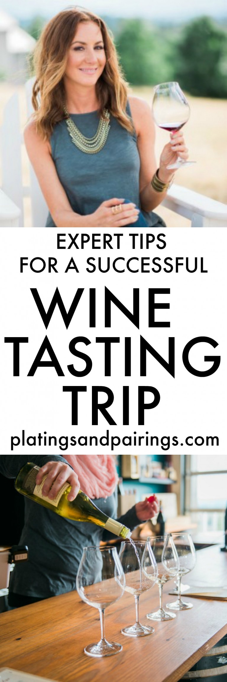 Wine Tasting Tips Platings + Pairings