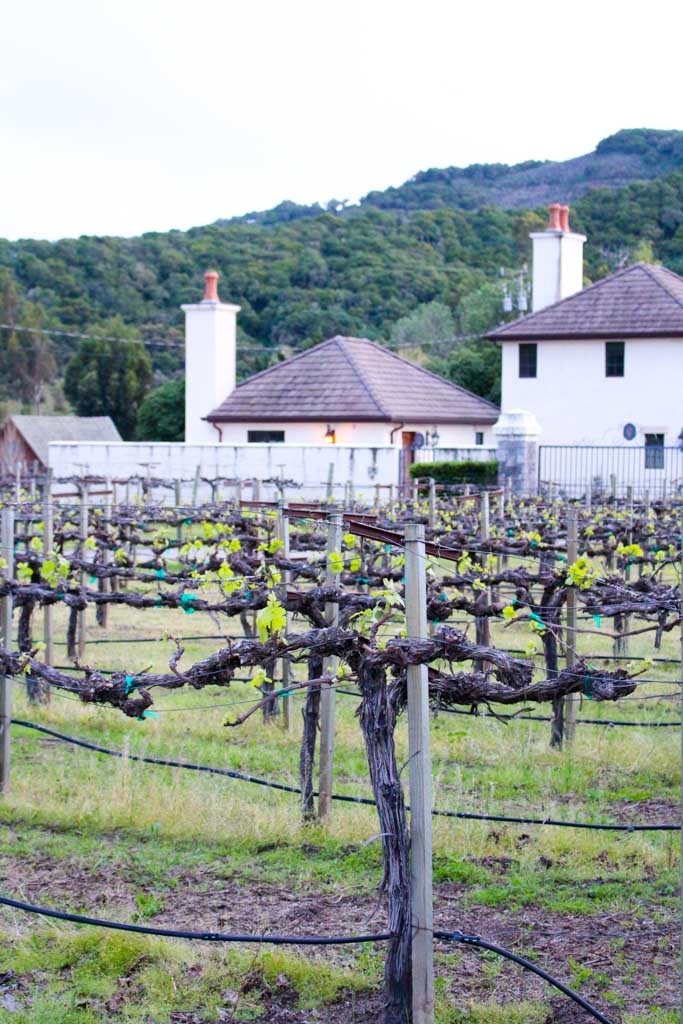 Wine Tasting at Folktale Winery & Vineyards in Carmel, California - The only grape to glass tasting room in the Carmel Valley | platingsandpairings.com