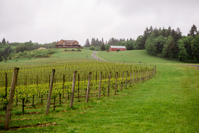 Youngberg Hill Vineyard believes in producing unmanipulated wines - allowing the true nature of the vintage to shine through. Visit them in McMinnville, Oregon for a tasting of Pinot Noir, Pinot Gris and Pinot Blanc | platingsandpairings.com