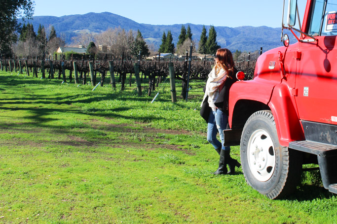 Winter WINEland is the perfect way to experience all the wineries that Northern Sonoma County's Wine Road has to offer.