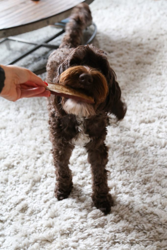 These Sweet Potato Dog Chews only use one-ingredient to make a healthy, homemade dog treat for your favorite pet! DIY dog treats are a great gift too! | platingsandpairings.com