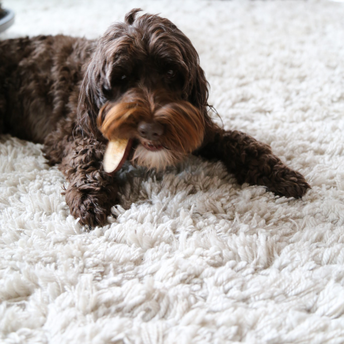 These Sweet Potato Dog Chews only use one-ingredient to make a healthy, homemade dog treat for your favorite pet! DIY dog treats are a great gift too! | platingsandpairings.com