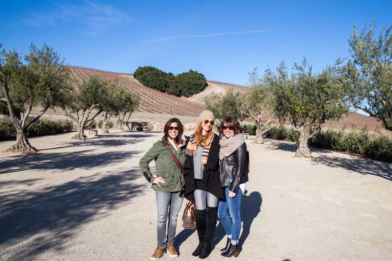 Heart formation at Niner West Estates - Wine tasting in Paso Robles 
