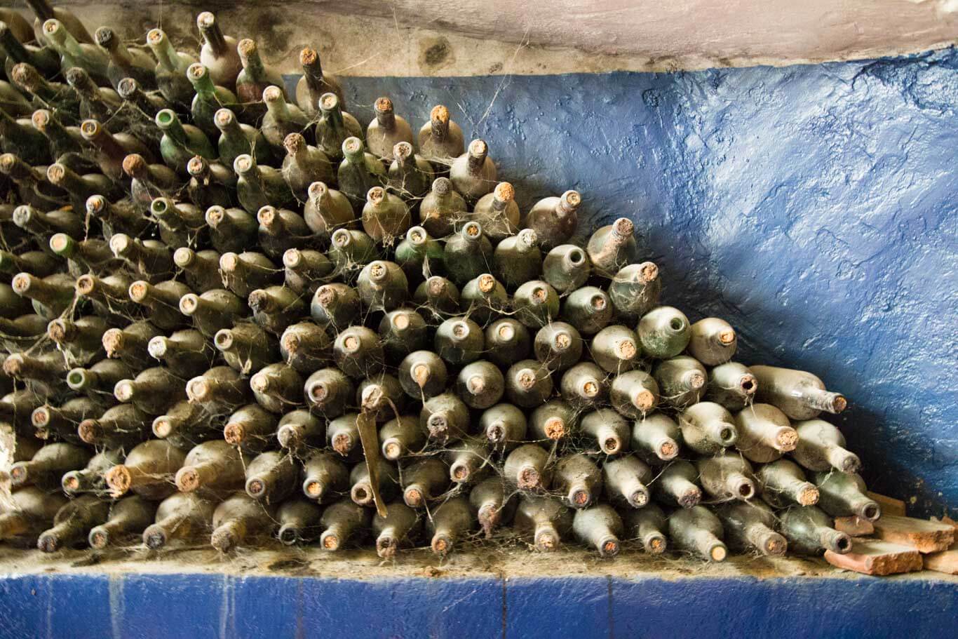 How Long to Age Wine Platings + Pairings