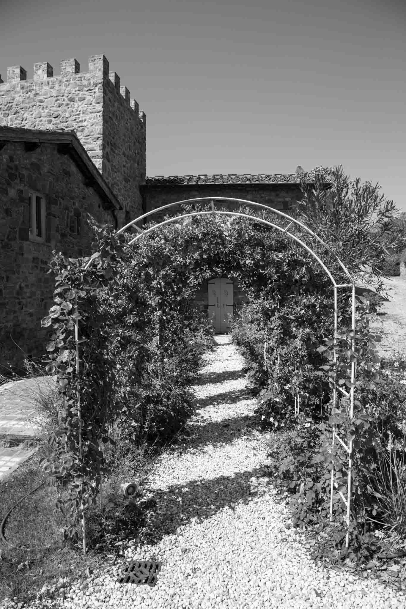 Grounds at Fattoria di Montemaggio