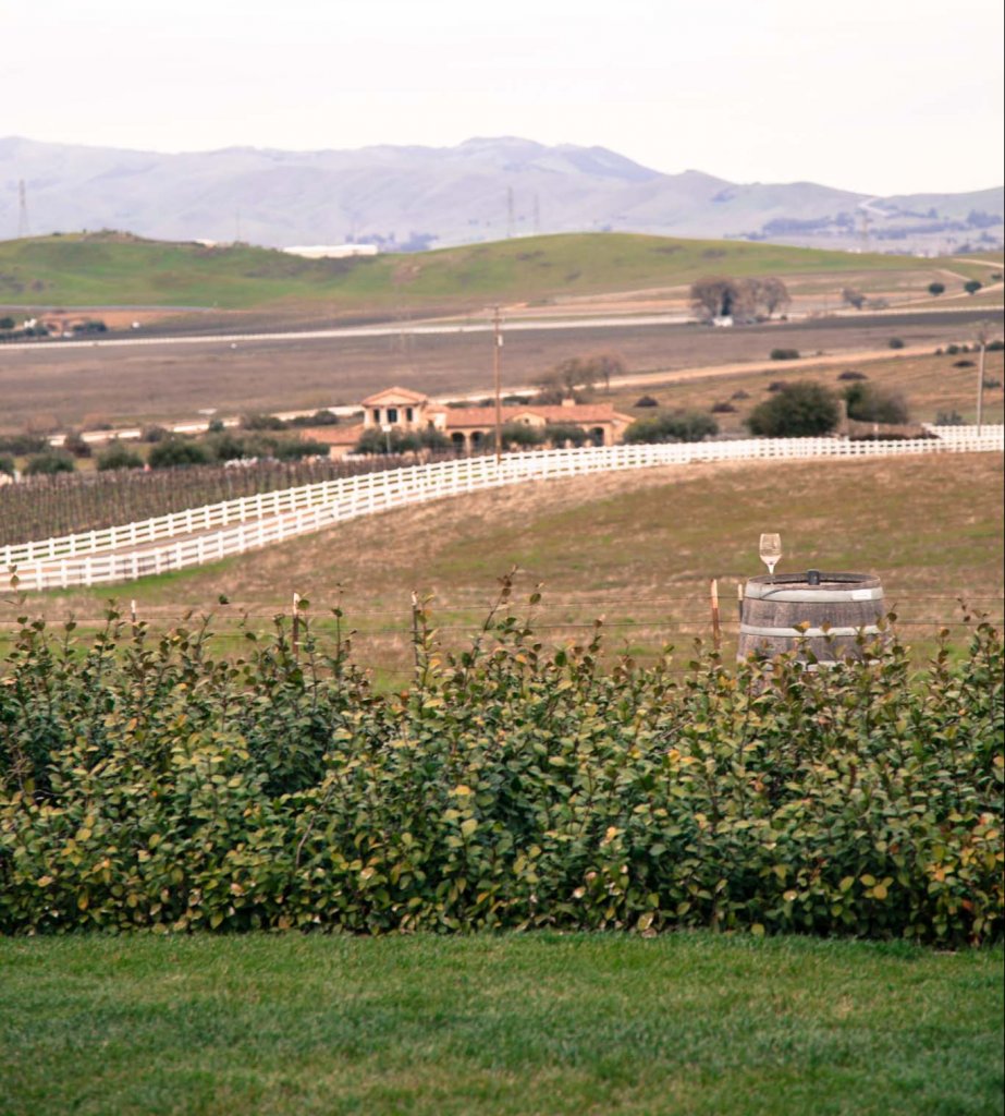 Wine Tasting in Livermore Valley Platings + Pairings