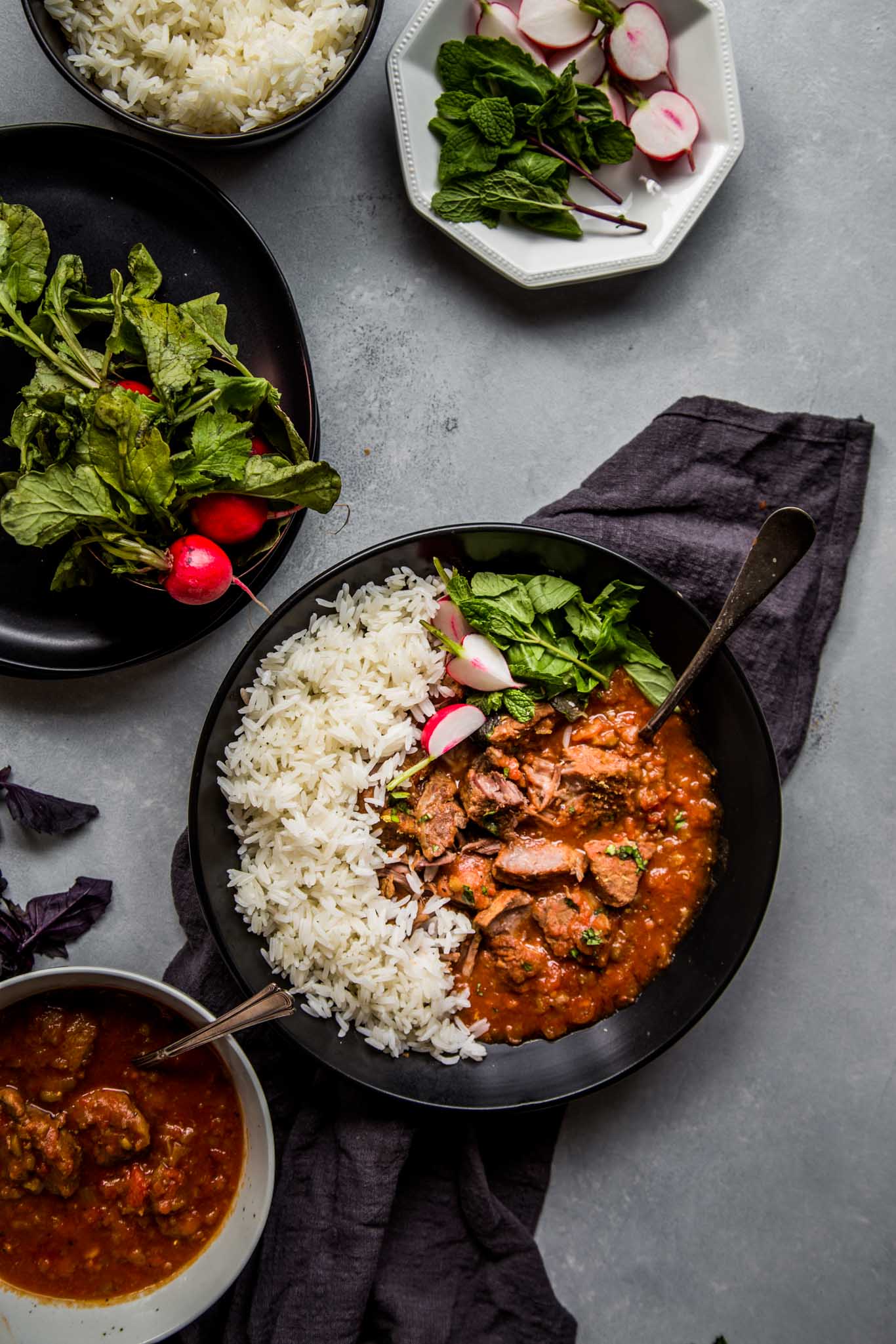 Overhead shot of Instant Pot persian beef stew next to bowl of rice and radishes for serving.