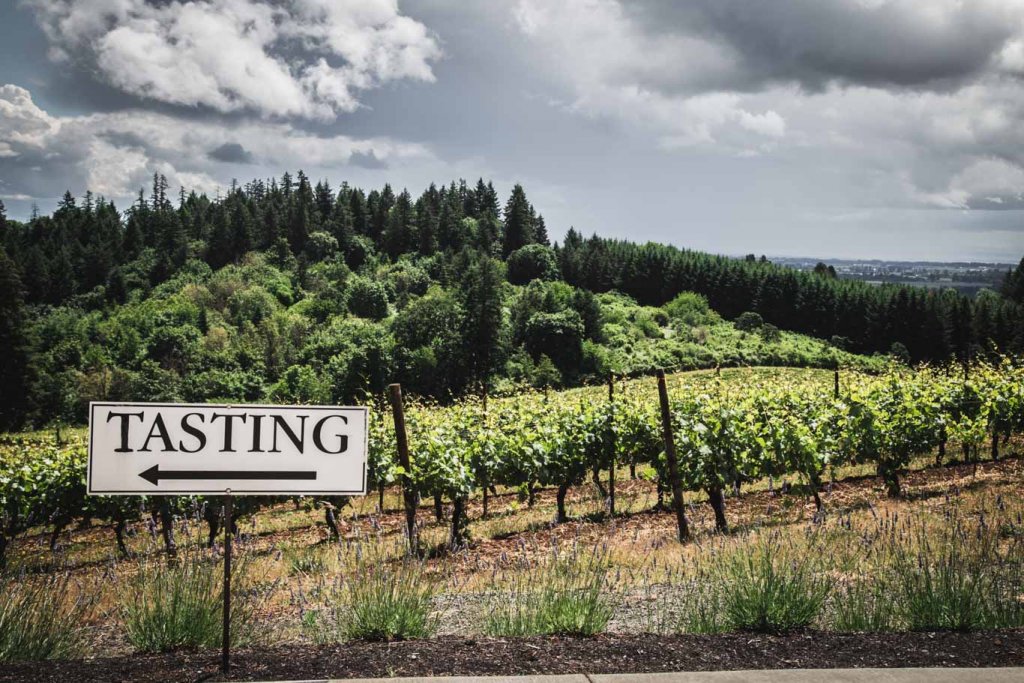 How to Pack a Winery Picnic (The BEST Winery Snacks) Platings + Pairings