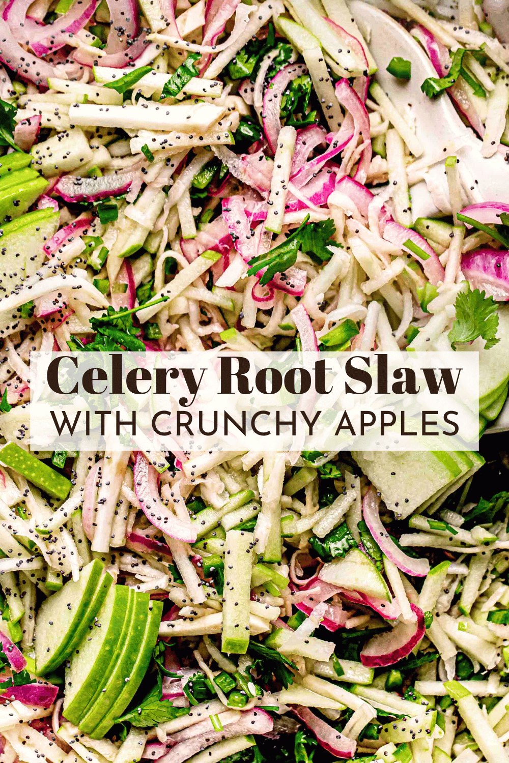 Apple Celery Root Slaw (Healthy Thanksgiving Salad) Platings + Pairings