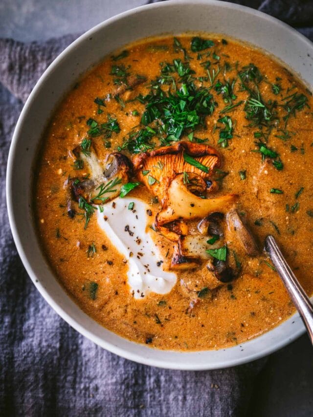 Creamy Hungarian Mushroom Soup Platings + Pairings