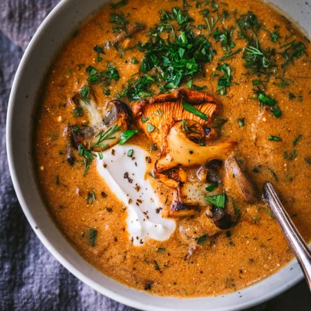 Overhead close up of bowl of hungarian mushroom soup.