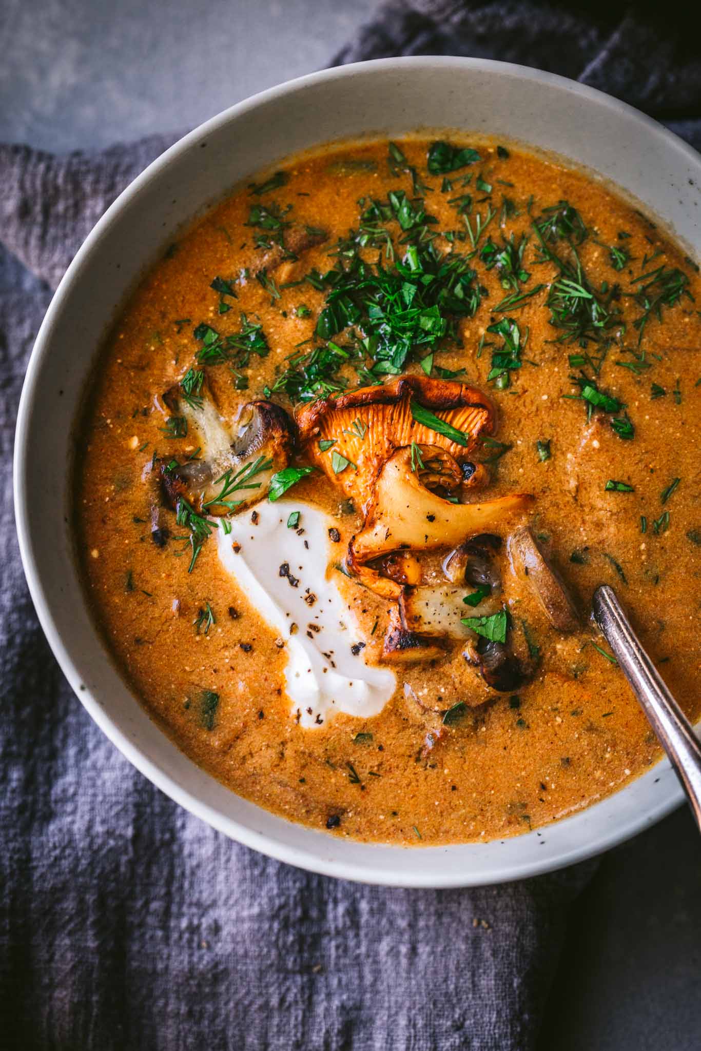 Overhead close up of bowl of hungarian mushroom soup.