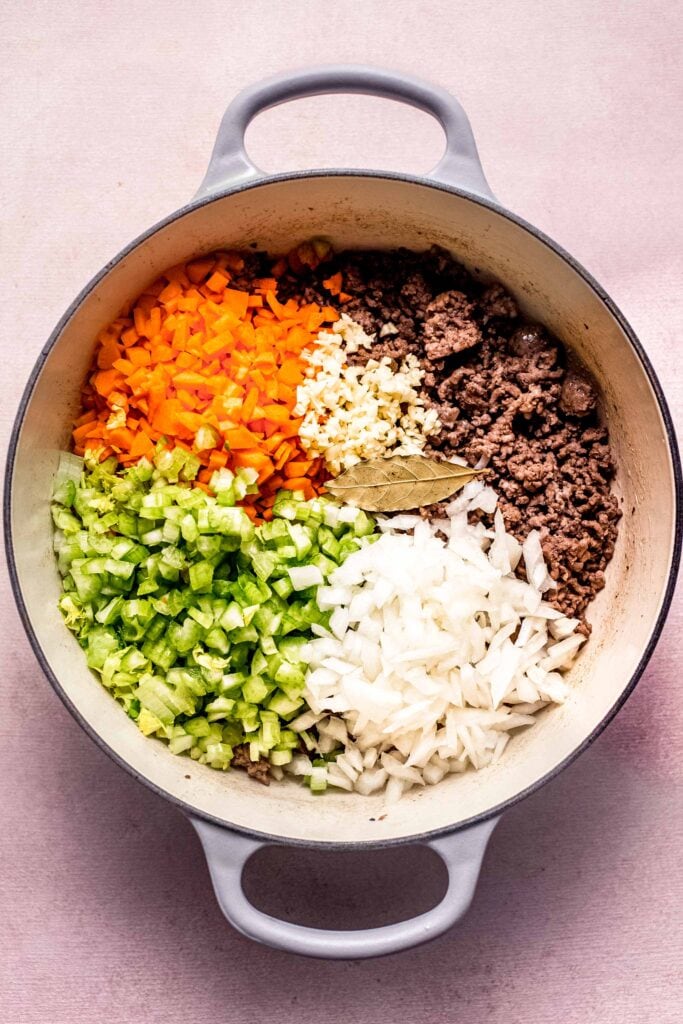 Meat, carrots, celery and onions in pot. 