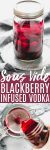 Blackberry Sous Vide Infused Vodka makes the perfect base for a delicious Blackberry Lemon Drop Martini. This tart and tangy cocktail is made extra flavorful with blackberry infused vodka & a sugar rim. #cocktail #sousvide #infusedvodka #lemondrop #lemondropmartini #blackberry #blackberryvodka #blackberrycocktail